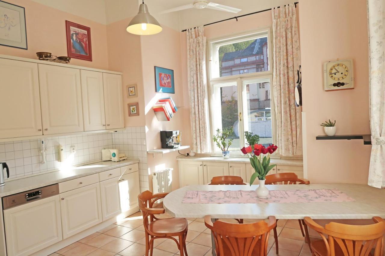 Apartment Themis 카를로비바리 외부 사진