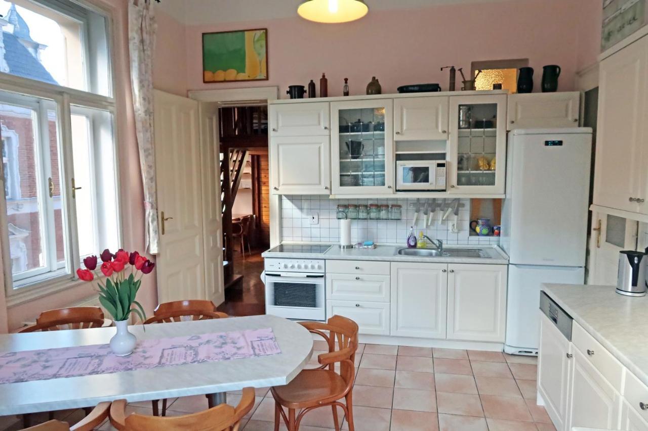 Apartment Themis 카를로비바리 외부 사진