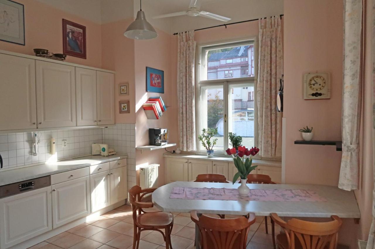 Apartment Themis 카를로비바리 외부 사진